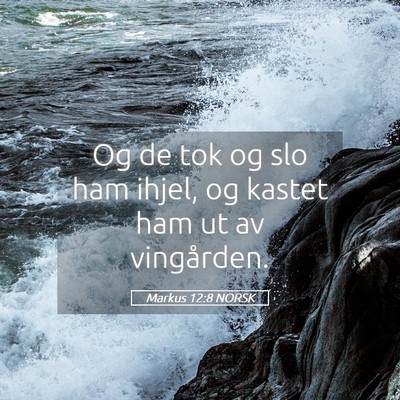 Picture 05 - Markus 12:8 NORSK - Og de tok og slo ham ihjel, og kastet ham ut av - Bible Verse Picture