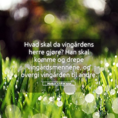 Picture 05 - Markus 12:9 NORSK - Hvad skal da vingårdens herre gjøre? Han skal - Bible Verse Picture