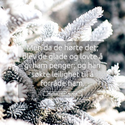 Picture 05 - Markus 14:11 NORSK - Men da de hørte det, blev de glade og lovte å - Bible Verse Picture