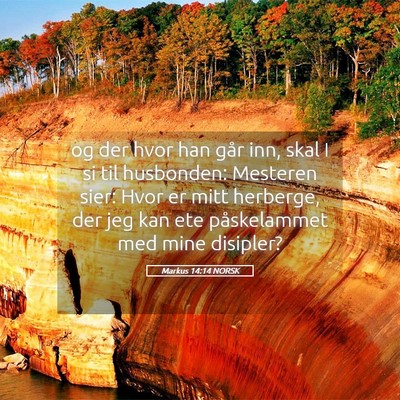 Picture 05 - Markus 14:14 NORSK - og der hvor han går inn, skal I si til - Bible Verse Picture