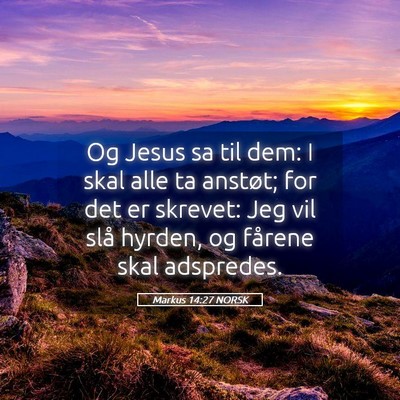 Picture 05 - Markus 14:27 NORSK - Og Jesus sa til dem: I skal alle ta anstøt; for - Bible Verse Picture