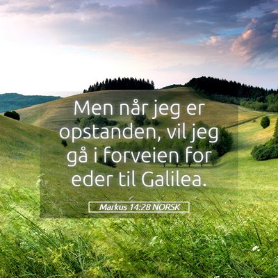 Picture 05 - Markus 14:28 NORSK - Men når jeg er opstanden, vil jeg gå i forveien - Bible Verse Picture