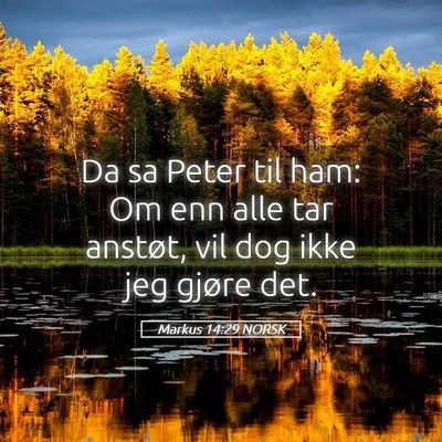 Picture 05 - Markus 14:29 NORSK - Da sa Peter til ham: Om enn alle tar anstøt, vil - Bible Verse Picture