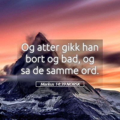 Picture 05 - Markus 14:39 NORSK - Og atter gikk han bort og bad, og sa de samme - Bible Verse Picture
