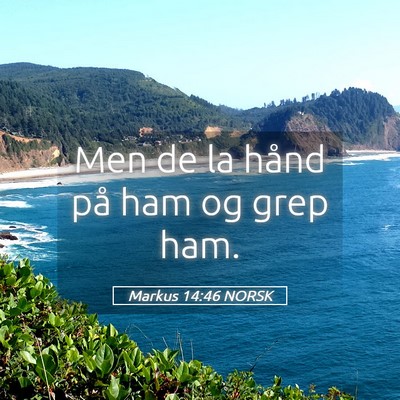 Picture 05 - Markus 14:46 NORSK - Men de la hånd på ham og grep - Bible Verse Picture