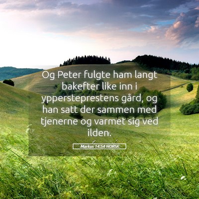 Picture 05 - Markus 14:54 NORSK - Og Peter fulgte ham langt bakefter like inn i - Bible Verse Picture