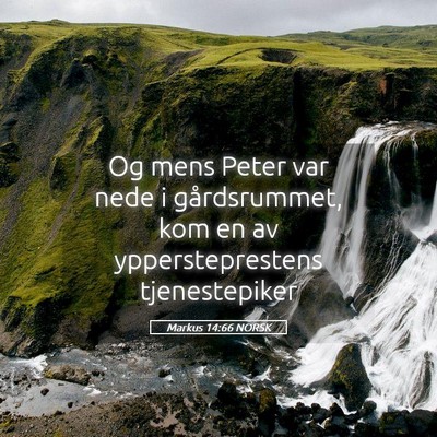 Picture 05 - Markus 14:66 NORSK - Og mens Peter var nede i gårdsrummet, kom en av - Bible Verse Picture