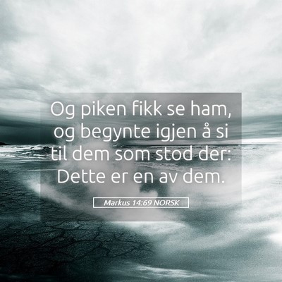 Picture 05 - Markus 14:69 NORSK - Og piken fikk se ham, og begynte igjen å si til - Bible Verse Picture