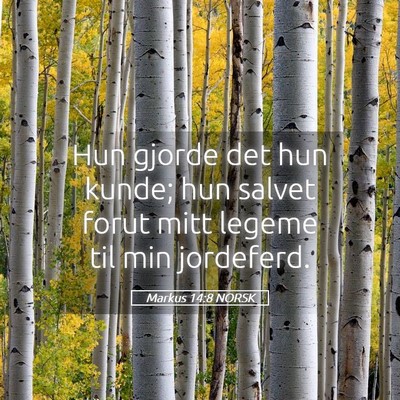 Picture 05 - Markus 14:8 NORSK - Hun gjorde det hun kunde; hun salvet forut mitt - Bible Verse Picture