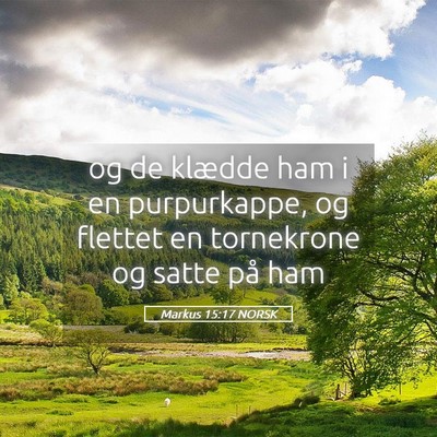 Picture 05 - Markus 15:17 NORSK - og de klædde ham i en purpurkappe, og flettet en - Bible Verse Picture