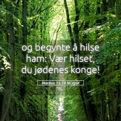 Picture 05 - Markus 15:18 NORSK - og begynte å hilse ham: Vær hilset, du jødenes - Bible Verse Picture
