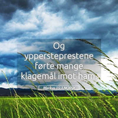 Picture 05 - Markus 15:3 NORSK - Og yppersteprestene førte mange klagemål imot - Bible Verse Picture