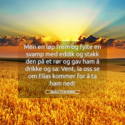 Picture 05 - Markus 15:36 NORSK - Men en løp frem og fylte en svamp med eddik og - Bible Verse Picture