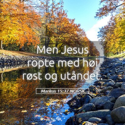 Picture 05 - Markus 15:37 NORSK - Men Jesus ropte med høi røst og - Bible Verse Picture