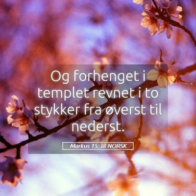 Picture 05 - Markus 15:38 NORSK - Og forhenget i templet revnet i to stykker fra - Bible Verse Picture