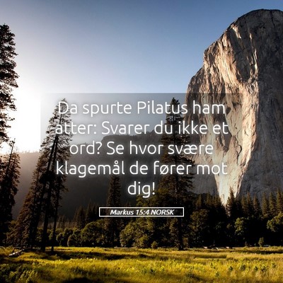 Picture 05 - Markus 15:4 NORSK - Da spurte Pilatus ham atter: Svarer du ikke et - Bible Verse Picture