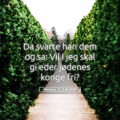 Picture 05 - Markus 15:9 NORSK - Da svarte han dem og sa: Vil I jeg skal gi eder - Bible Verse Picture