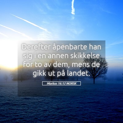 Picture 05 - Markus 16:12 NORSK - Derefter åpenbarte han sig i en annen skikkelse - Bible Verse Picture
