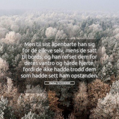 Picture 05 - Markus 16:14 NORSK - Men til sist åpenbarte han sig for de elleve - Bible Verse Picture