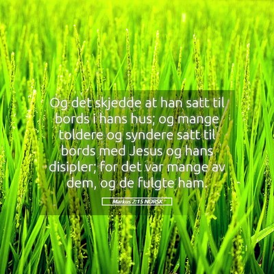 Picture 05 - Markus 2:15 NORSK - Og det skjedde at han satt til bords i hans hus; - Bible Verse Picture