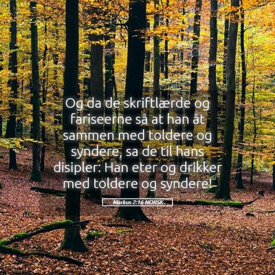 Picture 05 - Markus 2:16 NORSK - Og da de skriftlærde og fariseerne så at han - Bible Verse Picture