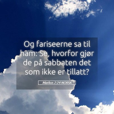 Picture 05 - Markus 2:24 NORSK - Og fariseerne sa til ham: Se, hvorfor gjør de - Bible Verse Picture