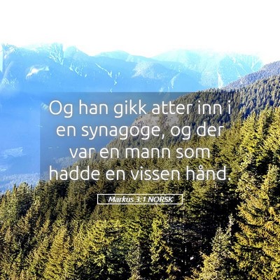 Picture 05 - Markus 3:1 NORSK - Og han gikk atter inn i en synagoge, og der var - Bible Verse Picture