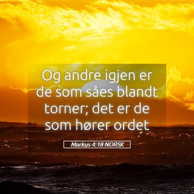 Picture 05 - Markus 4:18 NORSK - Og andre igjen er de som såes blandt torner; det - Bible Verse Picture