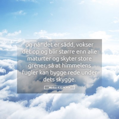 Picture 05 - Markus 4:32 NORSK - og når det er sådd, vokser det op og blir - Bible Verse Picture