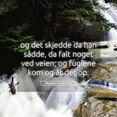Picture 05 - Markus 4:4 NORSK - og det skjedde da han sådde, da falt noget ved - Bible Verse Picture