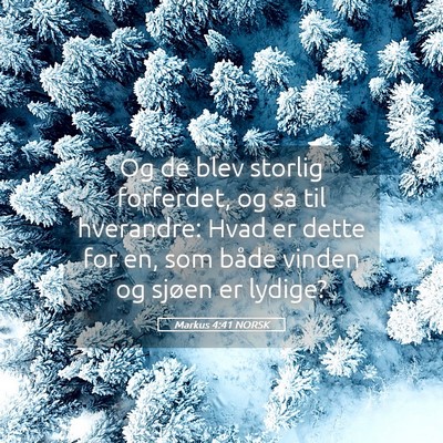 Picture 05 - Markus 4:41 NORSK - Og de blev storlig forferdet, og sa til - Bible Verse Picture