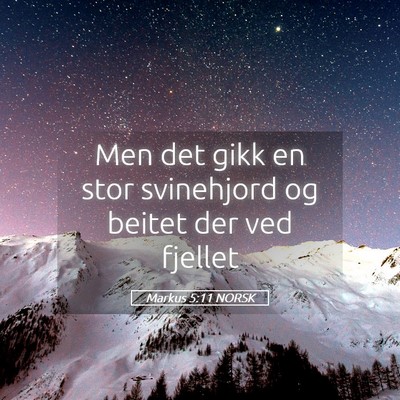 Picture 05 - Markus 5:11 NORSK - Men det gikk en stor svinehjord og beitet der ved - Bible Verse Picture