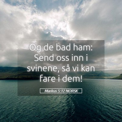 Picture 05 - Markus 5:12 NORSK - Og de bad ham: Send oss inn i svinene, så vi kan - Bible Verse Picture