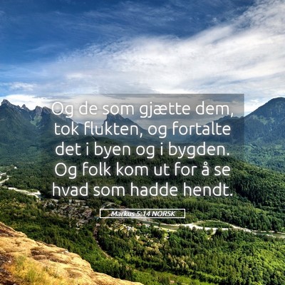 Picture 05 - Markus 5:14 NORSK - Og de som gjætte dem, tok flukten, og fortalte - Bible Verse Picture