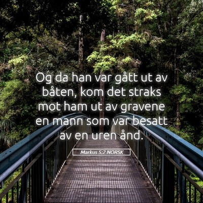 Picture 05 - Markus 5:2 NORSK - Og da han var gått ut av båten, kom det straks - Bible Verse Picture