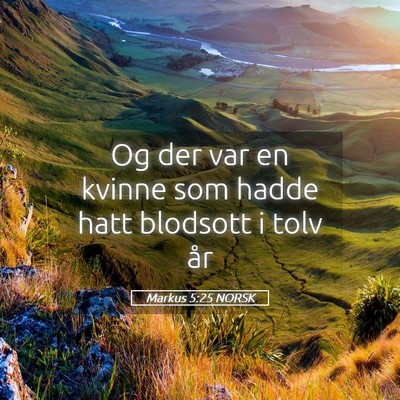 Picture 05 - Markus 5:25 NORSK - Og der var en kvinne som hadde hatt blodsott i - Bible Verse Picture