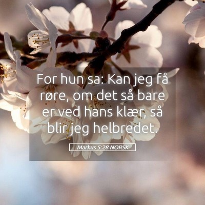 Picture 05 - Markus 5:28 NORSK - For hun sa: Kan jeg få røre, om det så bare er - Bible Verse Picture