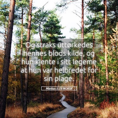 Picture 05 - Markus 5:29 NORSK - Og straks uttørkedes hennes blods kilde, og hun - Bible Verse Picture