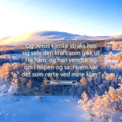 Picture 05 - Markus 5:30 NORSK - Og Jesus kjente straks hos sig selv den kraft som - Bible Verse Picture