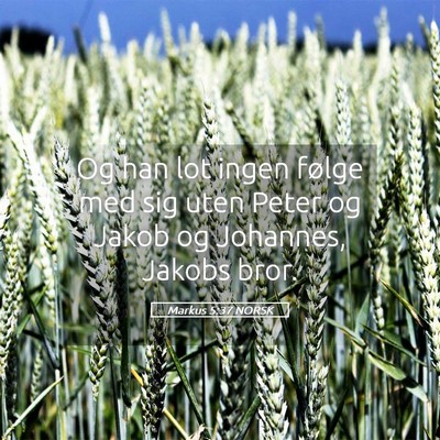 Picture 05 - Markus 5:37 NORSK - Og han lot ingen følge med sig uten Peter og - Bible Verse Picture