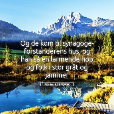Picture 05 - Markus 5:38 NORSK - Og de kom til synagoge-forstanderens hus, og han - Bible Verse Picture