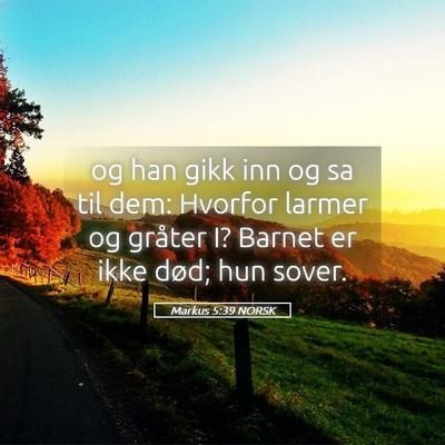 Picture 05 - Markus 5:39 NORSK - og han gikk inn og sa til dem: Hvorfor larmer og - Bible Verse Picture