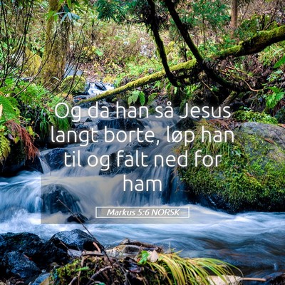 Picture 05 - Markus 5:6 NORSK - Og da han så Jesus langt borte, løp han til og - Bible Verse Picture