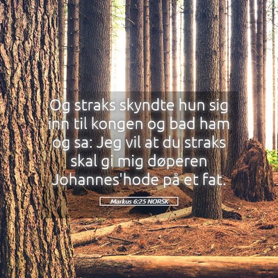 Picture 05 - Markus 6:25 NORSK - Og straks skyndte hun sig inn til kongen og bad - Bible Verse Picture
