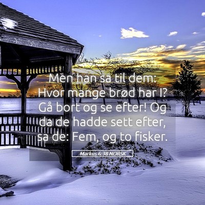 Picture 05 - Markus 6:38 NORSK - Men han sa til dem: Hvor mange brød har I? Gå - Bible Verse Picture