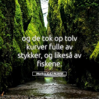 Picture 05 - Markus 6:43 NORSK - og de tok op tolv kurver fulle av stykker, og - Bible Verse Picture