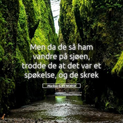 Picture 05 - Markus 6:49 NORSK - Men da de så ham vandre på sjøen, trodde de at - Bible Verse Picture