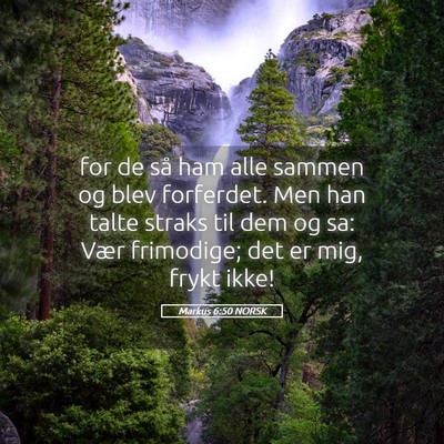 Picture 05 - Markus 6:50 NORSK - for de så ham alle sammen og blev forferdet. Men - Bible Verse Picture