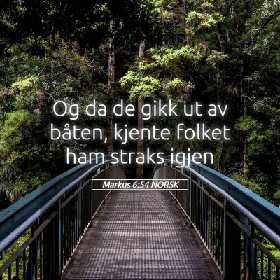 Picture 05 - Markus 6:54 NORSK - Og da de gikk ut av båten, kjente folket ham - Bible Verse Picture
