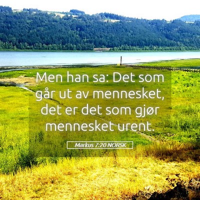 Picture 05 - Markus 7:20 NORSK - Men han sa: Det som går ut av mennesket, det er - Bible Verse Picture